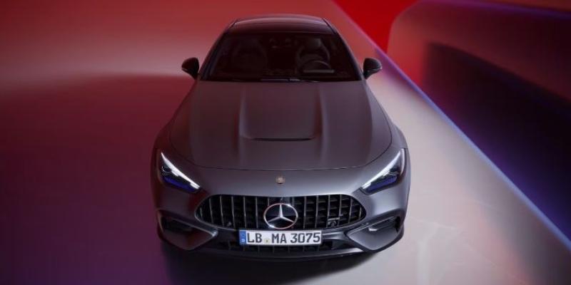 Mascherina del radiatore specifica AMG